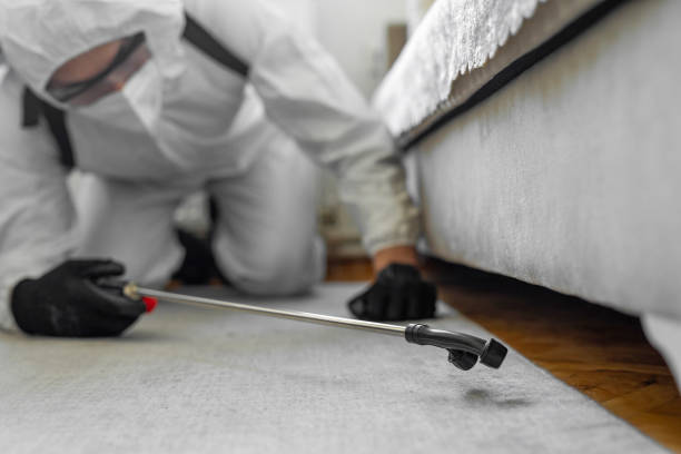 Professional Pest Control technician working in Schuyler County County, MO